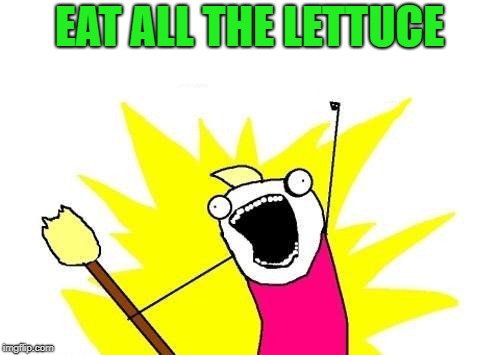 X All The Y Meme | EAT ALL THE LETTUCE | image tagged in memes,x all the y | made w/ Imgflip meme maker