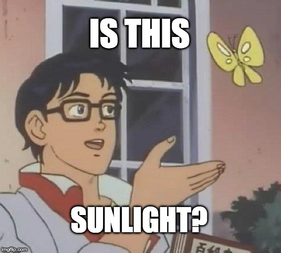 Is This A Pigeon Meme | IS THIS; SUNLIGHT? | image tagged in memes,is this a pigeon | made w/ Imgflip meme maker