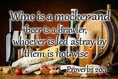 Proverbs 20:1 Beer an Wine will Lead You Astray | Wine is a mocker and; beer is a brawler, whoever is led astray by; them is not wise; Proverbs 20:1 | image tagged in bible,holy bible,bible verse,verse,holy spirit | made w/ Imgflip meme maker