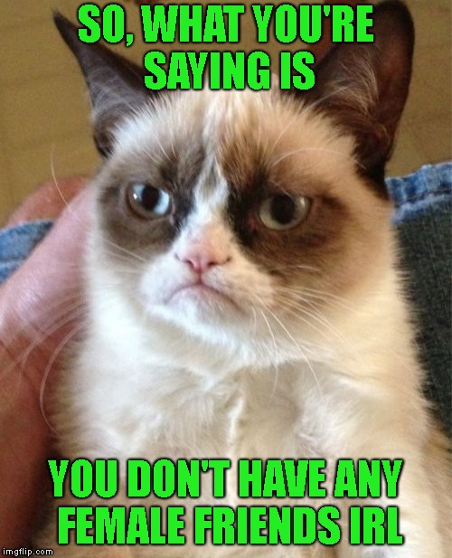 Grumpy Cat Meme | SO, WHAT YOU'RE SAYING IS YOU DON'T HAVE ANY FEMALE FRIENDS IRL | image tagged in memes,grumpy cat | made w/ Imgflip meme maker