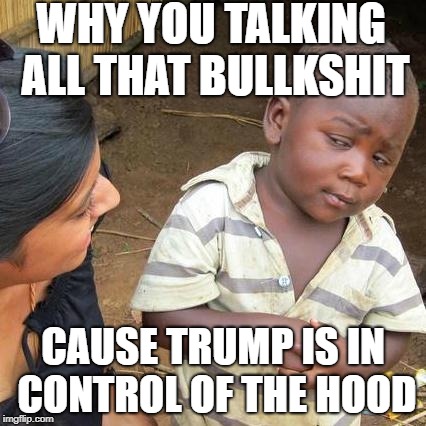 Third World Skeptical Kid Meme | WHY YOU TALKING ALL THAT BULLKSHIT; CAUSE TRUMP IS IN CONTROL OF THE HOOD | image tagged in memes,third world skeptical kid | made w/ Imgflip meme maker