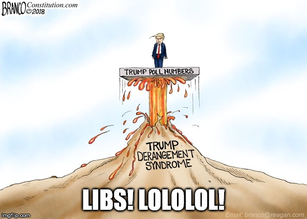 LIBS! LOLOLOL! | image tagged in democrats | made w/ Imgflip meme maker