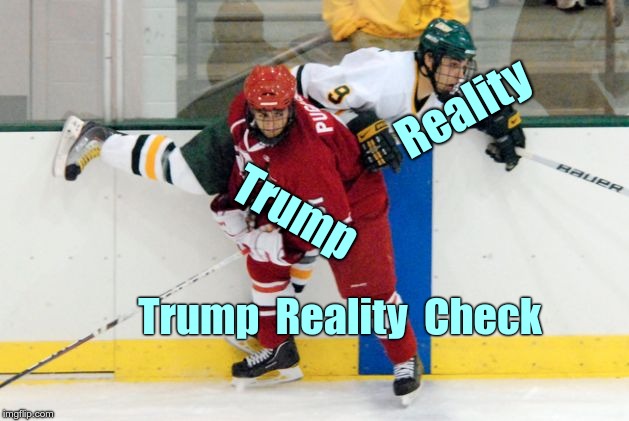 Trump Reality Check | Reality; Trump; Trump  Reality  Check | image tagged in hockey body check 629x421,donald trump,memes,reality check | made w/ Imgflip meme maker