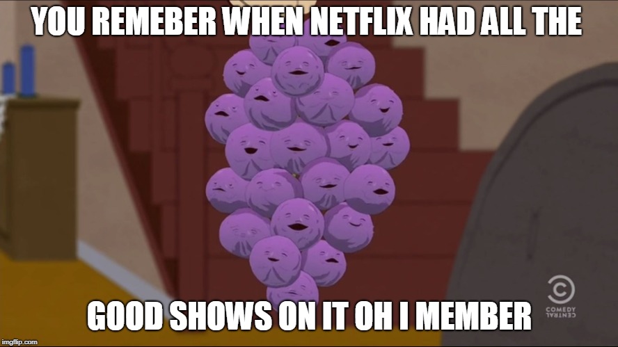 Member Berries Meme | YOU REMEBER WHEN NETFLIX HAD ALL THE; GOOD SHOWS ON IT OH I MEMBER | image tagged in memes,member berries | made w/ Imgflip meme maker