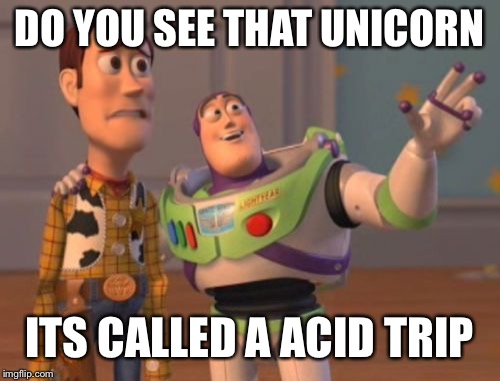 X, X Everywhere Meme | DO YOU SEE THAT UNICORN; ITS CALLED A ACID TRIP | image tagged in memes,x x everywhere | made w/ Imgflip meme maker