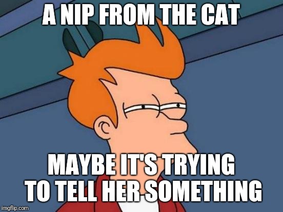 Futurama Fry Meme | A NIP FROM THE CAT MAYBE IT'S TRYING TO TELL HER SOMETHING | image tagged in memes,futurama fry | made w/ Imgflip meme maker