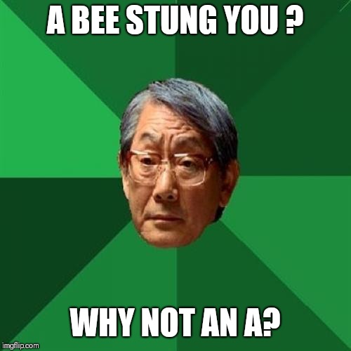 High Expectations Asian Father | A BEE STUNG YOU ? WHY NOT AN A? | image tagged in memes,high expectations asian father | made w/ Imgflip meme maker