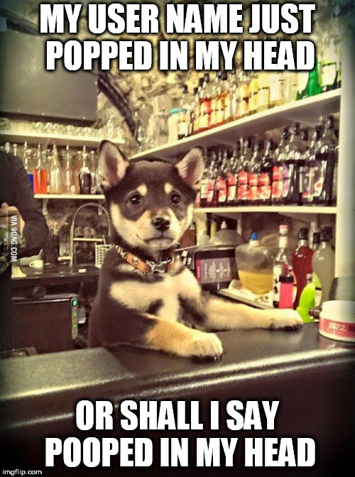 Bartender Puppy | MY USER NAME JUST POPPED IN MY HEAD; OR SHALL I SAY POOPED IN MY HEAD | image tagged in bartender puppy | made w/ Imgflip meme maker