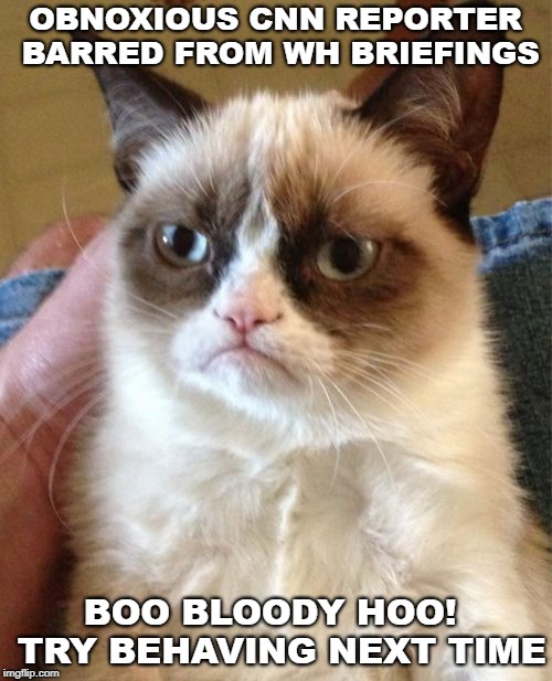 Grumpy Cat Meme | OBNOXIOUS CNN REPORTER BARRED FROM WH BRIEFINGS; BOO BLOODY HOO!  TRY BEHAVING NEXT TIME | image tagged in memes,grumpy cat | made w/ Imgflip meme maker