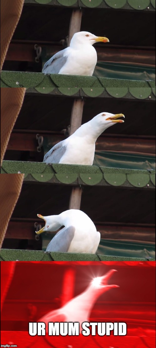 Inhaling Seagull | UR MUM STUPID | image tagged in memes,inhaling seagull | made w/ Imgflip meme maker