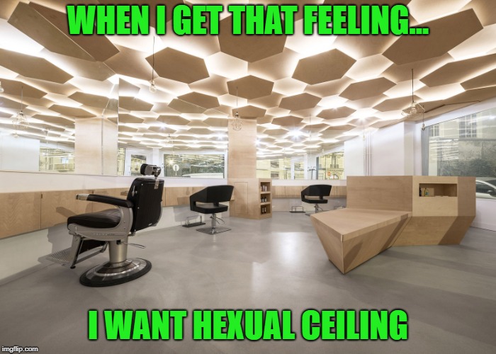 One for the late great Marvin Gaye!!! | WHEN I GET THAT FEELING... I WANT HEXUAL CEILING | image tagged in hexual ceiling,memes,marvin gaye,funny,honeycombs,hexagons | made w/ Imgflip meme maker