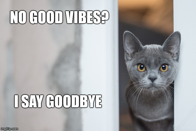 NO GOOD VIBES? I SAY GOODBYE | made w/ Imgflip meme maker