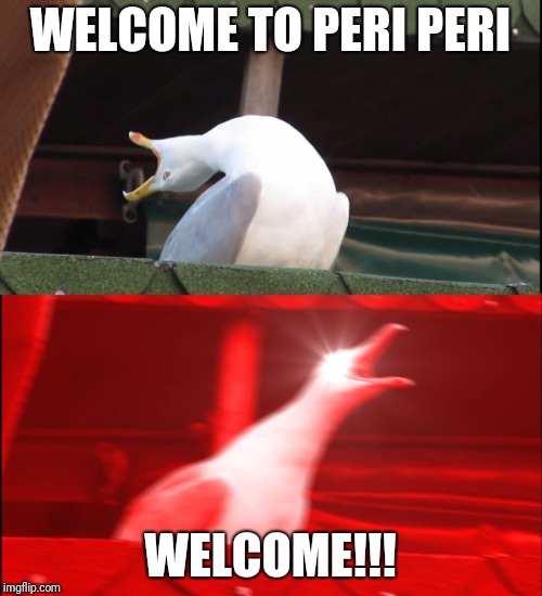 Screaming bird |  WELCOME TO PERI PERI; WELCOME!!! | image tagged in screaming bird | made w/ Imgflip meme maker
