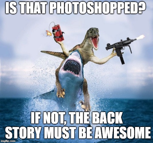 IS THAT PHOTOSHOPPED? IF NOT, THE BACK STORY MUST BE AWESOME | made w/ Imgflip meme maker