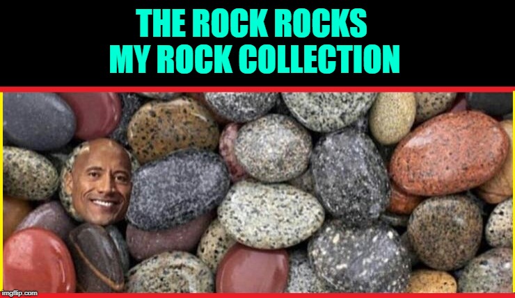My Pet Rock |  THE ROCK ROCKS MY ROCK COLLECTION | image tagged in vince vance,the rock,wwf,pet rock,dwayne johnson,rock collection | made w/ Imgflip meme maker