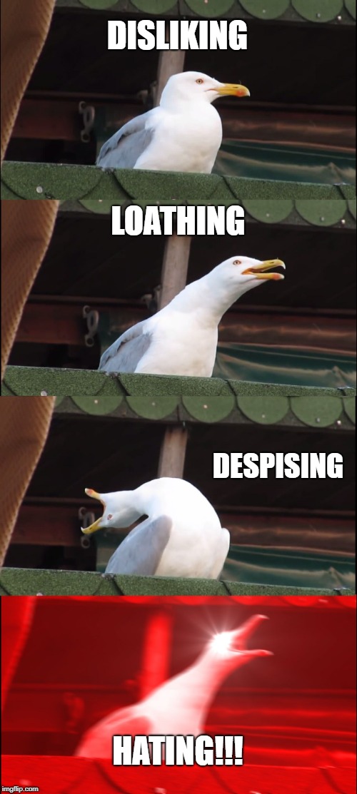 Inhaling Seagull | DISLIKING; LOATHING; DESPISING; HATING!!! | image tagged in memes,inhaling seagull | made w/ Imgflip meme maker
