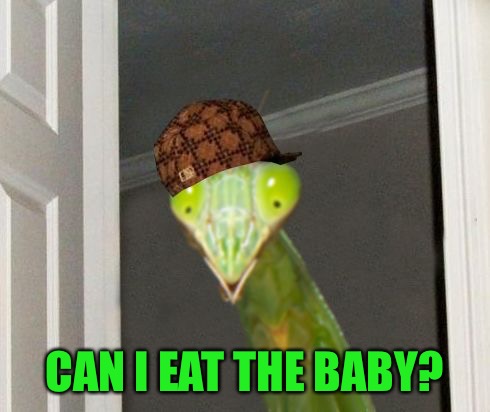 Scumbag Mantis | CAN I EAT THE BABY? | image tagged in scumbag mantis | made w/ Imgflip meme maker