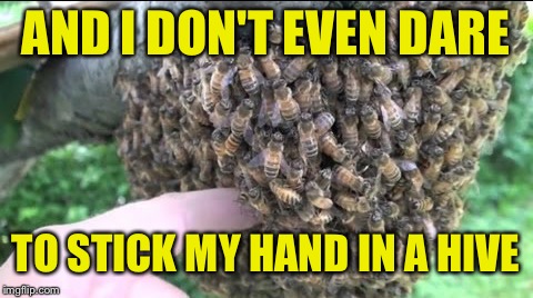 AND I DON'T EVEN DARE TO STICK MY HAND IN A HIVE | made w/ Imgflip meme maker