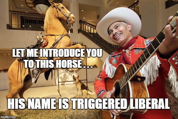 Not that ANYONE can't be triggered though... | LET ME INTRODUCE YOU TO THIS HORSE . . . HIS NAME IS TRIGGERED LIBERAL | image tagged in politics,political meme,political correctness,liberals,conservatives,wow | made w/ Imgflip meme maker