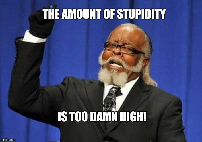 Too damn high! | THE AMOUNT OF STUPIDITY; IS TOO DAMN HIGH! | image tagged in too damn high | made w/ Imgflip meme maker