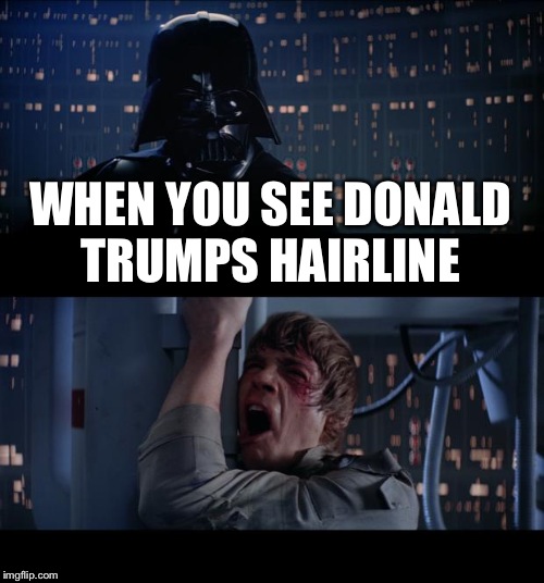 Star Wars No | WHEN YOU SEE DONALD TRUMPS HAIRLINE | image tagged in memes,star wars no | made w/ Imgflip meme maker