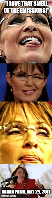 Sexy Sarah Palin | "I LOVE THAT SMELL OF THE EMISSIONS!"; SARAH PALIN, MAY 29, 2011 | image tagged in sarah palin,emissions,sexy,quotes,special kind of stupid | made w/ Imgflip meme maker