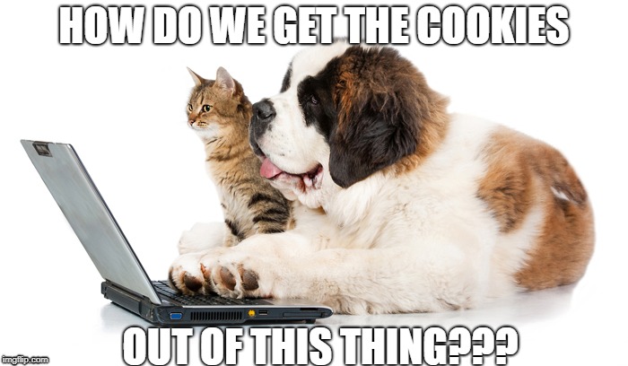 Dog and Cat Computer | HOW DO WE GET THE COOKIES; OUT OF THIS THING??? | image tagged in dog,cat,computer,dogs,cats,cute cat | made w/ Imgflip meme maker