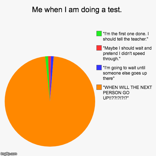 Me when I am doing a test. | "WHEN WILL THE NEXT PERSON GO UP!!??!?!?!?", "I'm going to wait until someone else goes up there", "Maybe I sho | image tagged in funny,pie charts | made w/ Imgflip chart maker