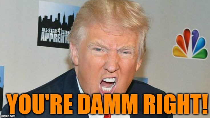 YOU'RE DAMM RIGHT! | image tagged in trump mad | made w/ Imgflip meme maker