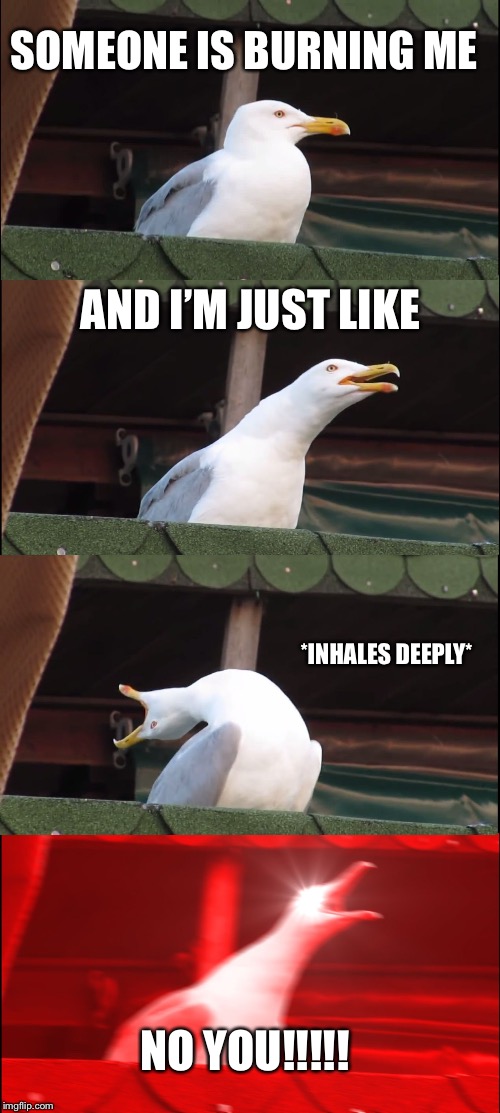 Inhaling Seagull | SOMEONE IS BURNING ME; AND I’M JUST LIKE; *INHALES DEEPLY*; NO YOU!!!!! | image tagged in memes,inhaling seagull | made w/ Imgflip meme maker