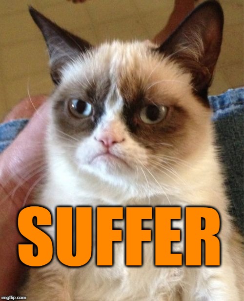 Grumpy Cat Meme | SUFFER | image tagged in memes,grumpy cat | made w/ Imgflip meme maker