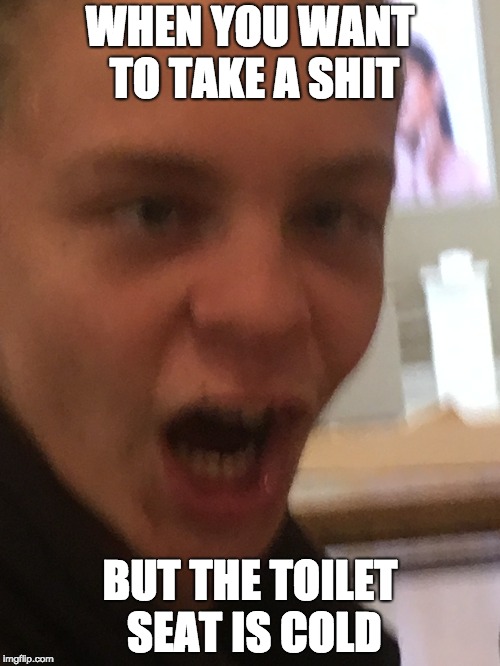 Cold Toilet seat | WHEN YOU WANT TO TAKE A SHIT; BUT THE TOILET SEAT IS COLD | image tagged in toilet | made w/ Imgflip meme maker