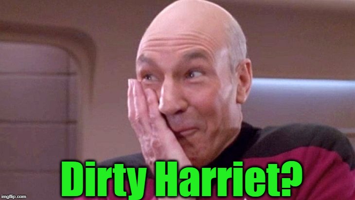 picard grin | Dirty Harriet? | image tagged in picard grin | made w/ Imgflip meme maker