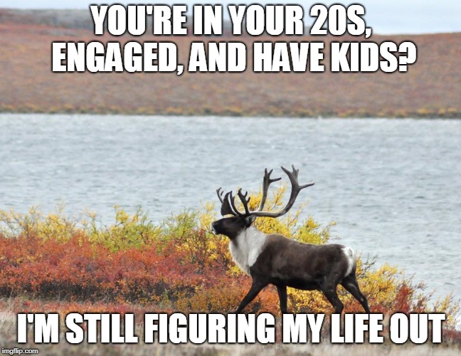 Snobby Tuktu | YOU'RE IN YOUR 20S, ENGAGED, AND HAVE KIDS? I'M STILL FIGURING MY LIFE OUT | image tagged in snobby tuktu | made w/ Imgflip meme maker