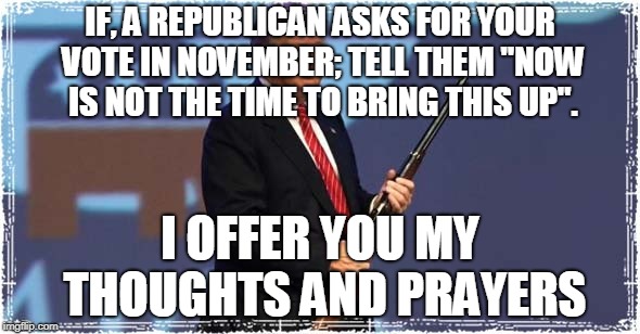 Thoughts and Prayers | IF, A REPUBLICAN ASKS FOR YOUR VOTE IN NOVEMBER; TELL THEM "NOW IS NOT THE TIME TO BRING THIS UP". I OFFER YOU MY THOUGHTS AND PRAYERS | image tagged in vote,thought and prayers,republicans,now is not the time | made w/ Imgflip meme maker