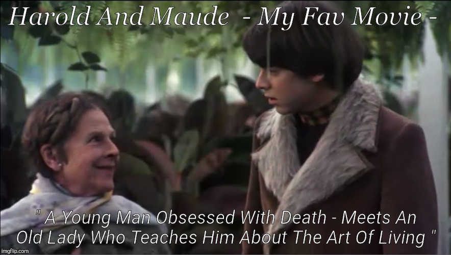 Harold And Maude | Harold And Maude  - My Fav Movie -; " A Young Man Obsessed With Death - Meets An Old Lady Who Teaches Him About The Art Of Living " | image tagged in movies,love | made w/ Imgflip meme maker
