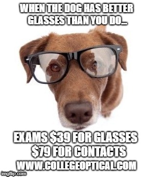 dog with glasses | WHEN THE DOG HAS BETTER GLASSES THAN YOU DO... EXAMS $39 FOR GLASSES   $79 FOR CONTACTS; WWW.COLLEGEOPTICAL.COM | image tagged in dog,glaases,optical,exams | made w/ Imgflip meme maker