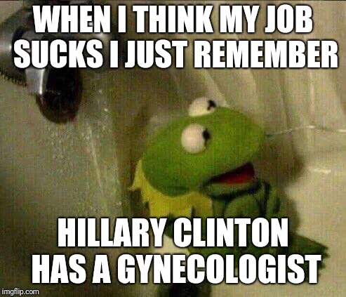 And you thought you had a shitty job | WHEN I THINK MY JOB SUCKS I JUST REMEMBER; HILLARY CLINTON HAS A GYNECOLOGIST | image tagged in kermit crying terrified in shower | made w/ Imgflip meme maker