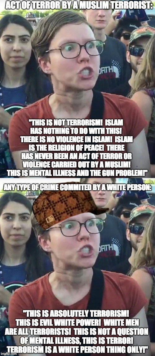 Liberal Hypocrisy:  Terrorism | ACT OF TERROR BY A MUSLIM TERRORIST:; "THIS IS NOT TERRORISM!  ISLAM HAS NOTHING TO DO WITH THIS!  THERE IS NO VIOLENCE IN ISLAM!  ISLAM IS THE RELIGION OF PEACE!  THERE HAS NEVER BEEN AN ACT OF TERROR OR VIOLENCE CARRIED OUT BY A MUSLIM!  THIS IS MENTAL ILLNESS AND THE GUN PROBLEM!"; ANY TYPE OF CRIME COMMITED BY A WHITE PERSON:; "THIS IS ABSOLUTELY TERRORISM!  THIS IS EVIL WHITE POWER!  WHITE MEN ARE ALL TERRORISTS!  THIS IS NOT A QUESTION OF MENTAL ILLNESS, THIS IS TERROR!  TERRORISM IS A WHITE PERSON THING ONLY!" | image tagged in liberal logic,libtards,super_triggered,islamic terrorism | made w/ Imgflip meme maker