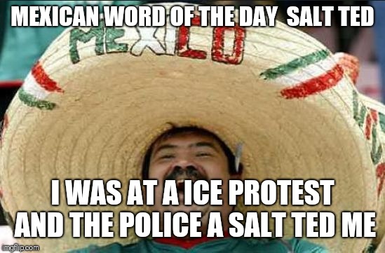 Mexican word of the day | MEXICAN WORD OF THE DAY 
SALT TED; I WAS AT A ICE PROTEST AND THE POLICE A SALT TED ME | image tagged in mexican word of the day | made w/ Imgflip meme maker