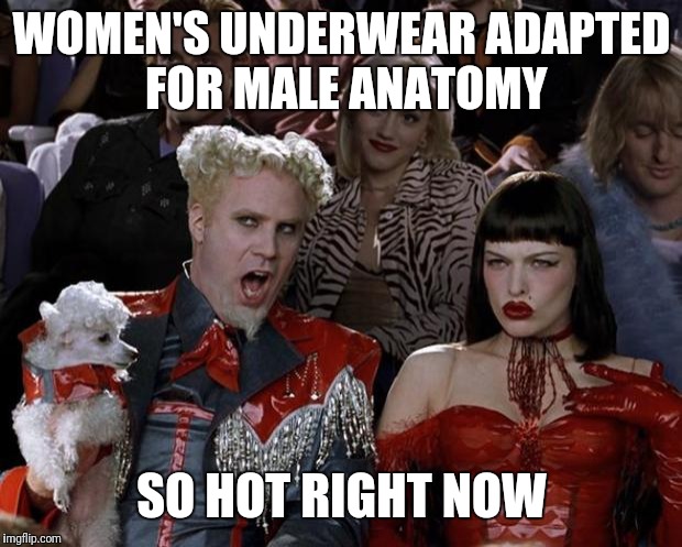 Mugatu So Hot Right Now Meme | WOMEN'S UNDERWEAR ADAPTED FOR MALE ANATOMY SO HOT RIGHT NOW | image tagged in memes,mugatu so hot right now | made w/ Imgflip meme maker