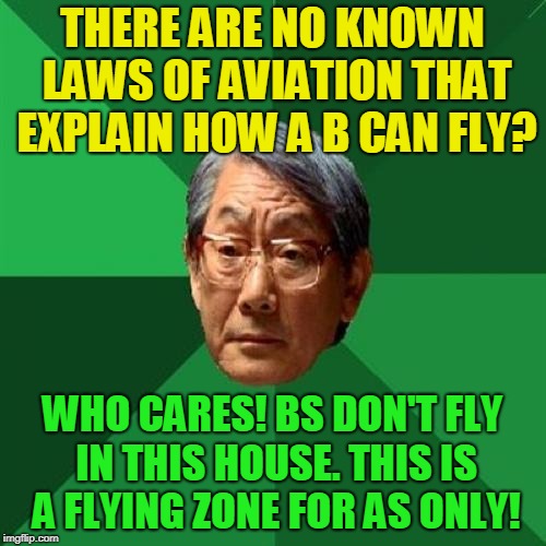 High Expectations Asian Father Meme | THERE ARE NO KNOWN LAWS OF AVIATION THAT EXPLAIN HOW A B CAN FLY? WHO CARES! BS DON'T FLY IN THIS HOUSE. THIS IS A FLYING ZONE FOR AS ONLY! | image tagged in memes,high expectations asian father | made w/ Imgflip meme maker