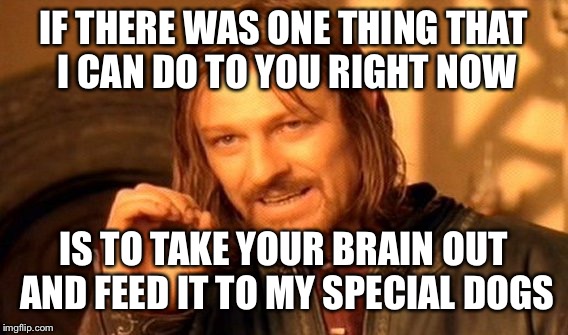 One Does Not Simply Meme | IF THERE WAS ONE THING THAT I CAN DO TO YOU RIGHT NOW; IS TO TAKE YOUR BRAIN OUT AND FEED IT TO MY SPECIAL DOGS | image tagged in memes,one does not simply | made w/ Imgflip meme maker