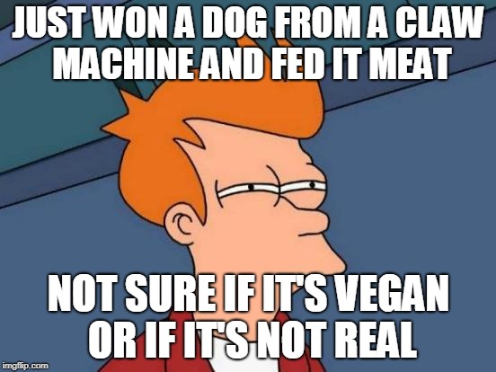 Futurama Fry Meme | JUST WON A DOG FROM A CLAW MACHINE AND FED IT MEAT; NOT SURE IF IT'S VEGAN OR IF IT'S NOT REAL | image tagged in memes,futurama fry | made w/ Imgflip meme maker