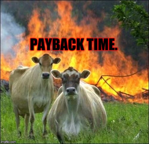 Evil Cows Meme | PAYBACK TIME. | image tagged in memes,evil cows | made w/ Imgflip meme maker