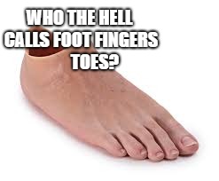 foot fingers | WHO THE HELL CALLS FOOT FINGERS 







TOES? | image tagged in foot,who the hell,calls,footfingers,toes | made w/ Imgflip meme maker