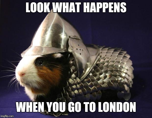 Guinea Pig | LOOK WHAT HAPPENS; WHEN YOU GO TO LONDON | image tagged in guinea pig | made w/ Imgflip meme maker