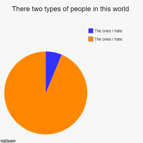 There two types of people in this world | The ones I hate, The ones I hate | image tagged in funny,pie charts | made w/ Imgflip chart maker