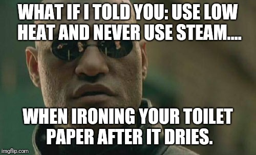 Good tip  | WHAT IF I TOLD YOU: USE LOW HEAT AND NEVER USE STEAM.... WHEN IRONING YOUR TOILET PAPER AFTER IT DRIES. | image tagged in memes,matrix morpheus,toilet paper,toilet humor,gross,grossed out | made w/ Imgflip meme maker