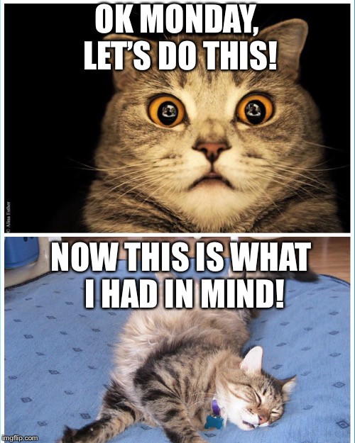 OK MONDAY, LET’S DO THIS! NOW THIS IS WHAT I HAD IN MIND! | image tagged in stress,mondays | made w/ Imgflip meme maker